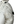 Load image into Gallery viewer, Stone Island 2018 White Long Down Filled Parka Jacket - Large
