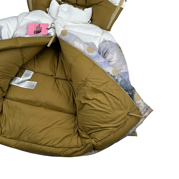 North Face X Gucci Mountain Print Down Filled Down Hooded Puffer Jacket - Small