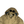 Load image into Gallery viewer, CP Company 50 Fili Down Filled Brown Goggle Jacket - Small
