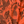 Load image into Gallery viewer, CP Company Re Print Orange Camo Lens View Overshirt - XL
