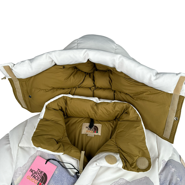 North Face X Gucci Mountain Print Down Filled Down Hooded Puffer Jacket - Small