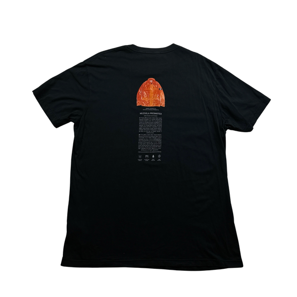 Stone Island 2016 Mussola Prismatica Archivo Short Sleeve T Shirt - XXL