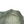 Load image into Gallery viewer, Stone Island 2015 Light Green Hyperlight Summer Jacket - Medium
