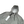 Load image into Gallery viewer, CP Company Grey CS II Lens Viewer Lightweight Jacket - Large
