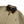 Load image into Gallery viewer, Ralph Lauren Vintage Flannel Lined Beige Harrington Jacket - XL
