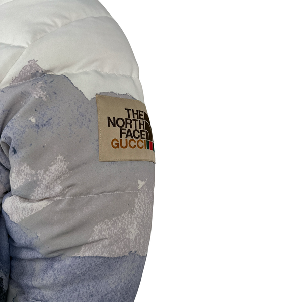 North Face X Gucci Mountain Print Down Filled Down Hooded Puffer Jacket - Small