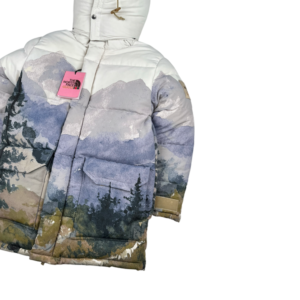 North Face X Gucci Mountain Print Down Filled Down Hooded Puffer Jacket - Small