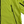 Load image into Gallery viewer, CP Company 50 Fili Yellow Hooded Jacket - Large

