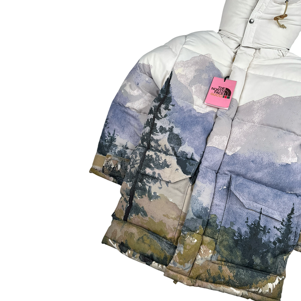 North Face X Gucci Mountain Print Down Filled Down Hooded Puffer Jacket - Small