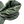 Load image into Gallery viewer, Stone Island Green Naslan Light Watro Down TC Puffer - XL
