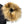 Load image into Gallery viewer, CP Company Taylon P Long Parka Jacket
