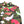 Load image into Gallery viewer, Valentino Multi Camo Shirt
