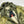 Load image into Gallery viewer, CP Company Olive Kan D Sherling Lined Jacket
