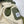 Load image into Gallery viewer, CP Company Olive Kan D Sherling Lined Jacket
